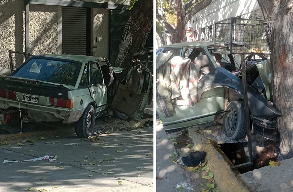 Circulaba sin carnet ni cinturón y estrelló el auto contra un árbol en Ciudad: tres niños sufrieron heridas. | Foto: Ministerio de Seguridad y Justicia