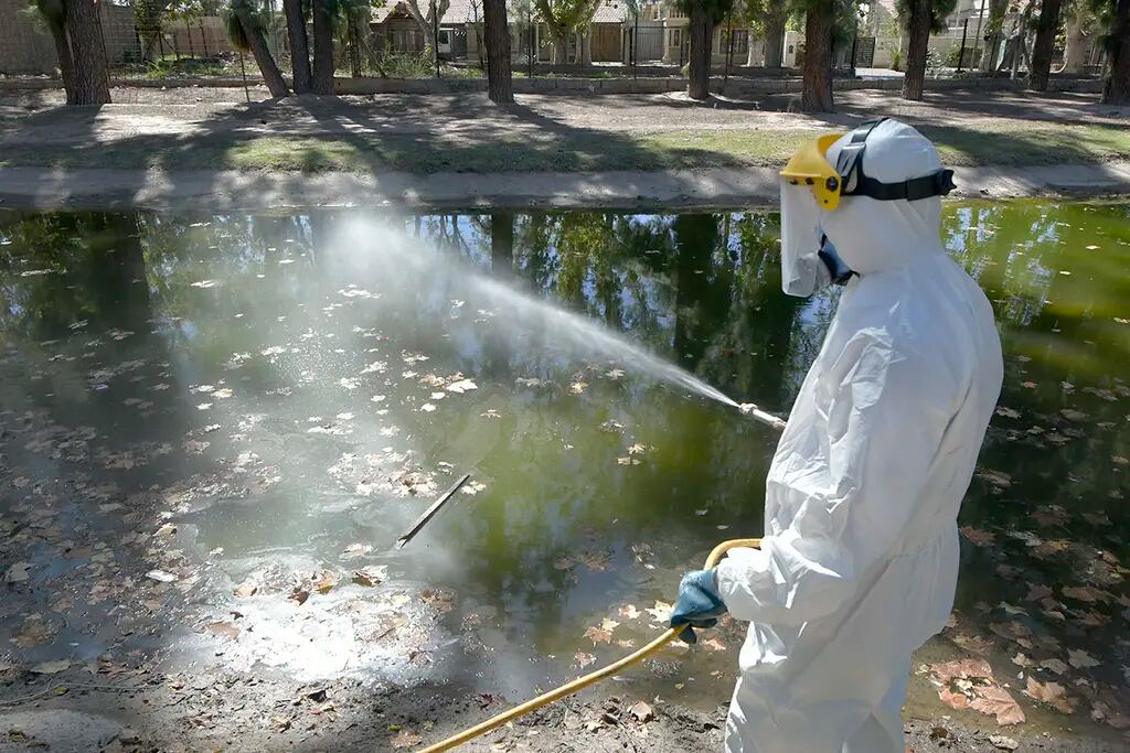 Dengue en Mendoza