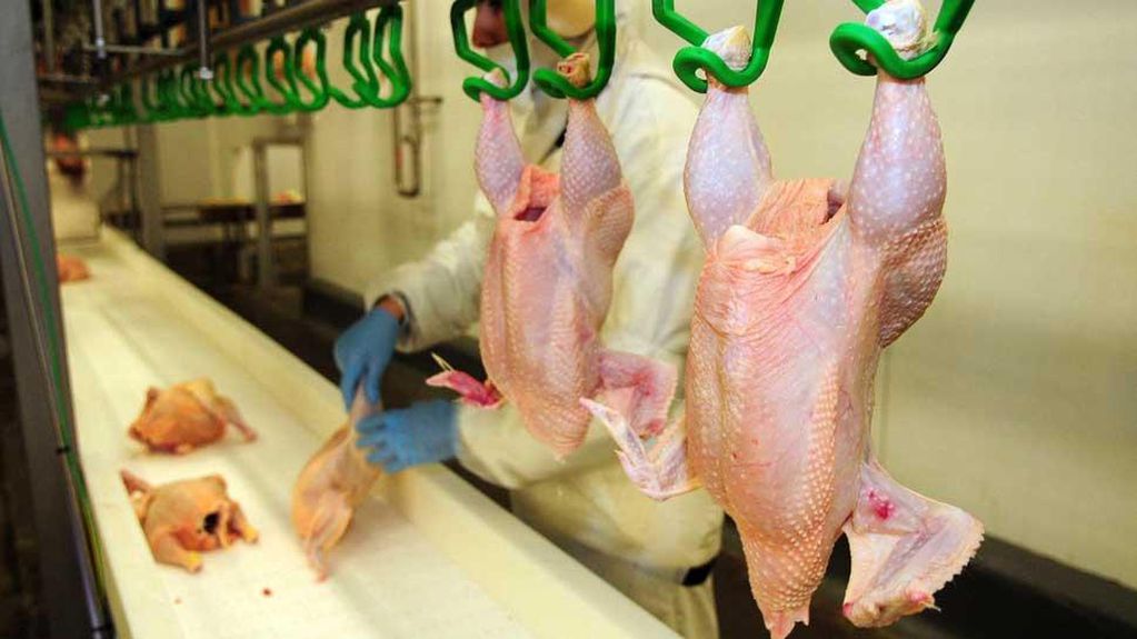 El consumo de pollo sigue creciendo y casi equipara al de carne vacuna.
