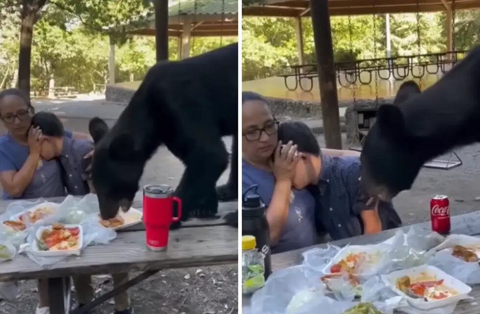 Una familia recibió la visita de un oso mientras almorzaban en un parque mexicano.