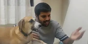 Rohit Nair y su perro viral.