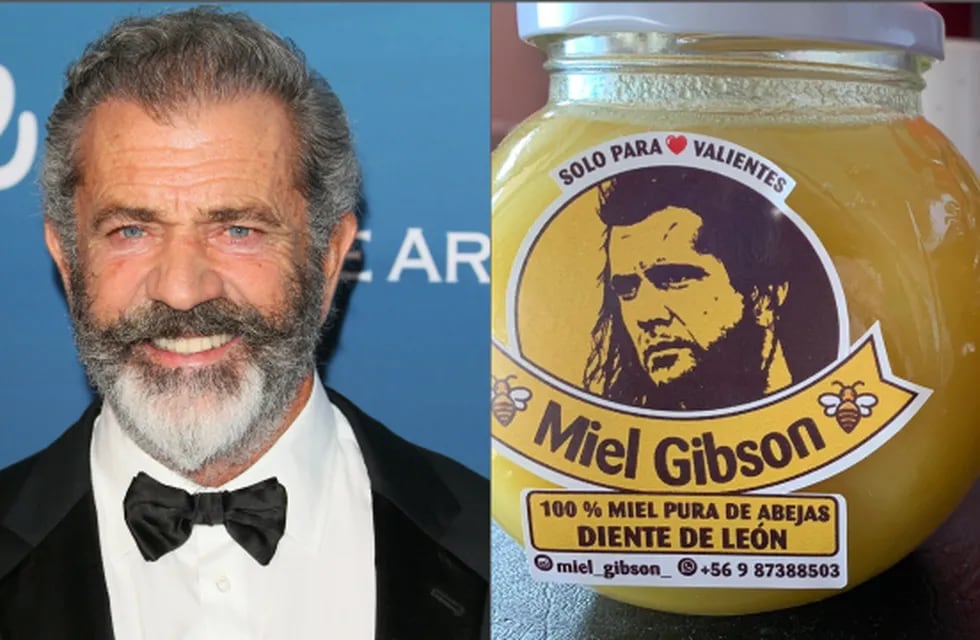 Mel Gibson demandó a la chilena que vendía frascos de miel y a raíz de ello aumentó sus ventas.