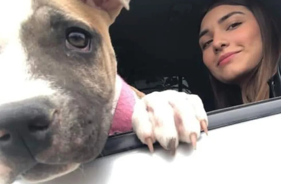 Camila, la perrita que murió de pena dos días después que su dueña Alma (Instagram)