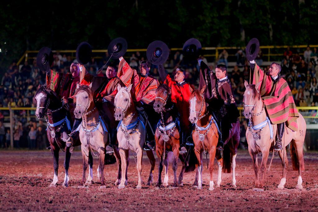 Los caballos criollos presentes en Feriagro