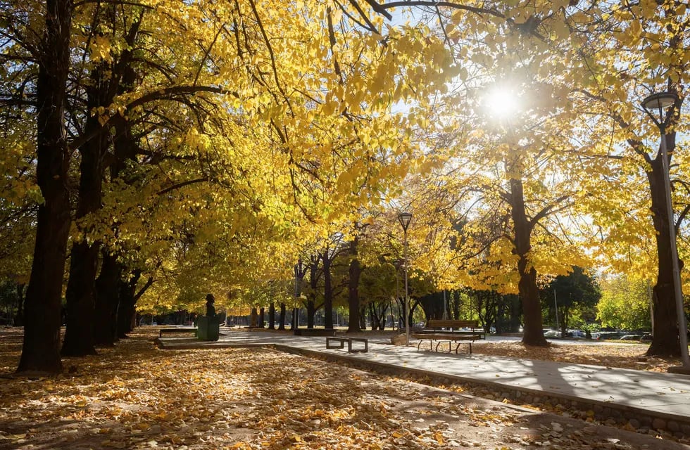 Semana de otoño agradable en Mendoza.