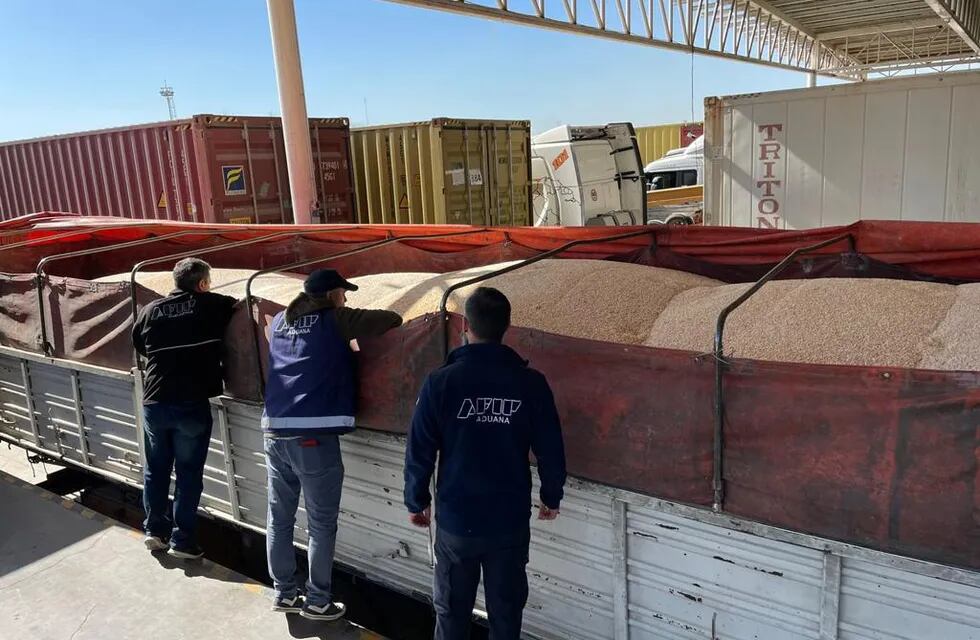 La Aduana secuestró 84.000 kilos de maíz que estaban en un depósito fiscal de Mendoza por “inconsistencias graves”.