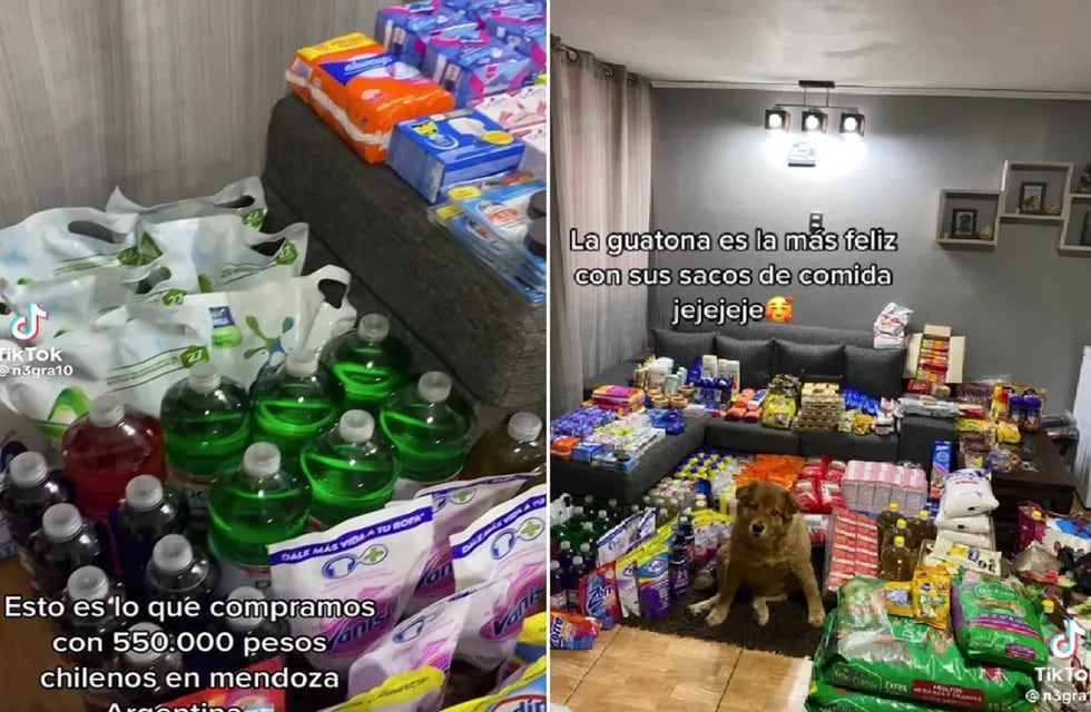 Chilena mostró en TikTok la inmensa compra que hizo en un supermercado de Mendoza y generó polémica (Captura de video)