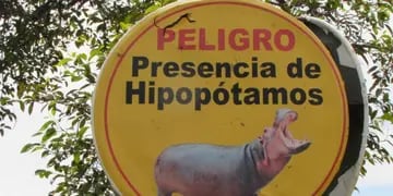 Alerta de hipopótamos en la antigua hacienda de Pablo Escobar