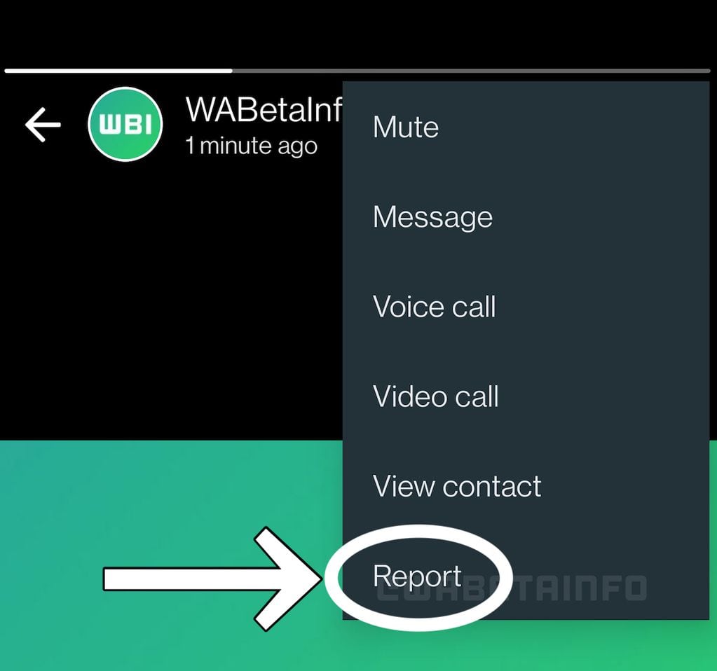 A la nueva función de WhatsApp de reportar contenido indebido en chats se le llama informalmente "Modo Vigilante".