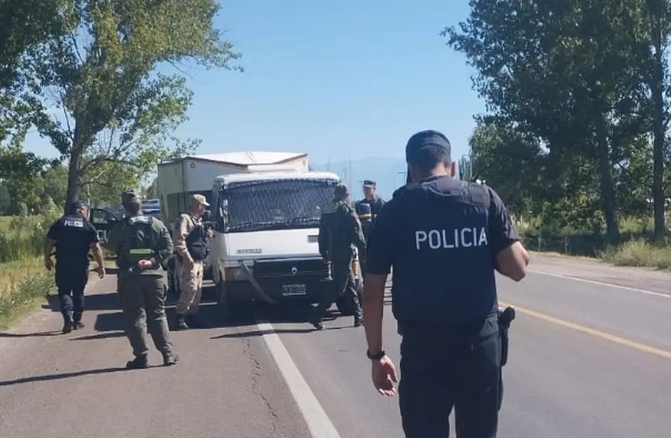 Personal de Gendarmeria y la Policia Provincial trabajaron en el lugar. Foto: Captura de video