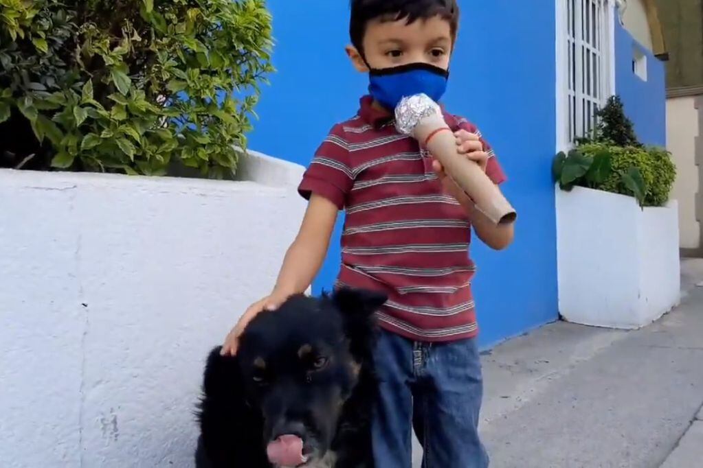Santiago Fabila eligió como tema y protagonistas para un reportaje a los perros callejeros. Foto: Twitter.