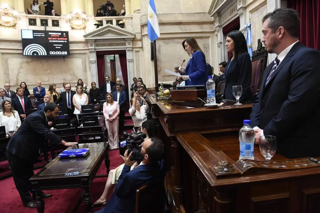 Sesión especial en el Senado presidida por Victoria Villarruel, el miércoles pasado 13 de diciembre. Foto: Departamento de Fotografía - Senado