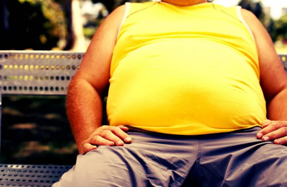 Cambios en la flora intestinal, asociados a diabetes y obesidad
