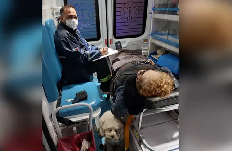 Una mujer tuvo un ACV en plena calle, su perrita la acompañó en la ambulancia y no se despegó de ella.