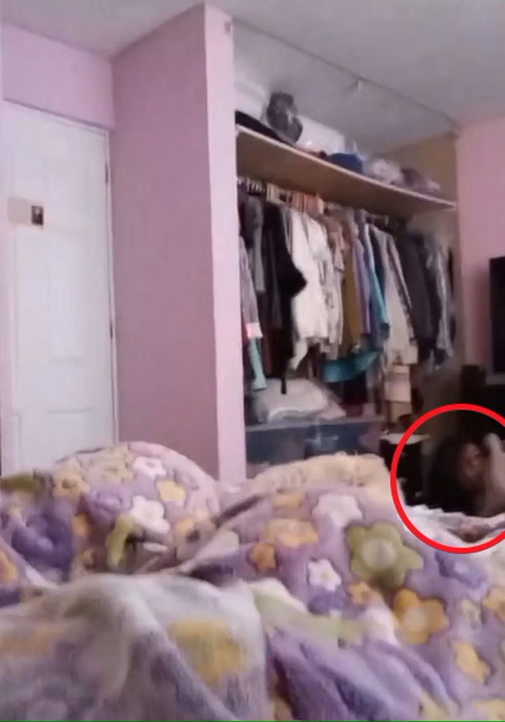 La extraña figura que estaba en su habitación mientras la joven estaba acostada con su hermana y su perra.