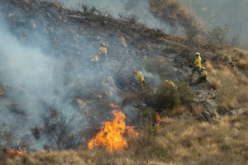 Incendio forestal en Mendoza