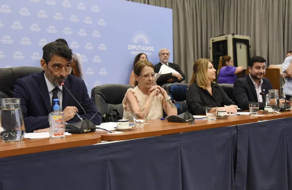 Los diputados Rodolfo Tailhade y María Luján Rey, presidentes de las comisiones de Justicia y de Legislación Penal (Foto: HCDN)