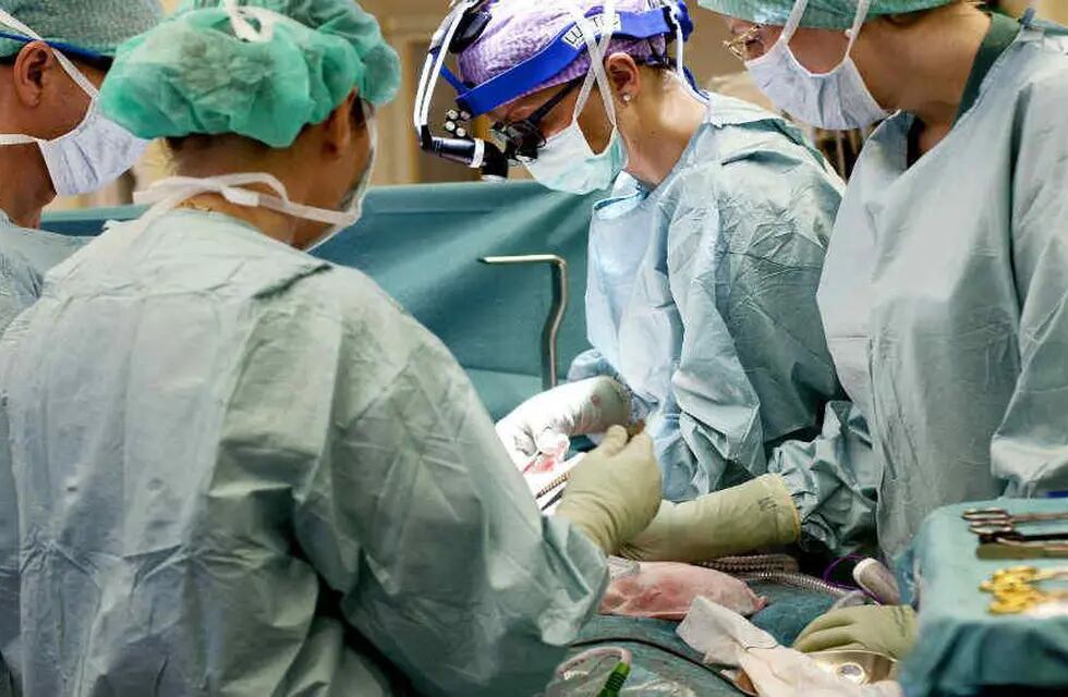 El trasplante de hígado realizado al nene rosarino que padecía una grave hepatitis resultó exitosa, pero las primeras 24 horas son las más críticas (AP).