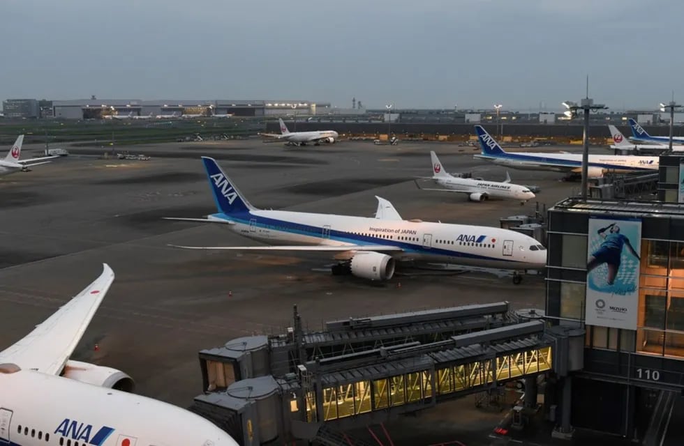 Un avión de la compañía aérea japonesa All Nippon Airways (ANA) donde sucedieron los hechos