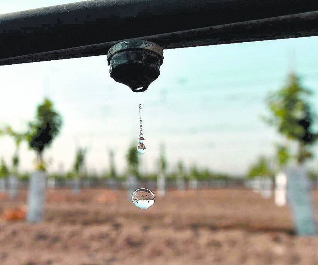 El riego por goteo es una de las técnicas que permiten un uso más eficiente del recurso hídrico. 