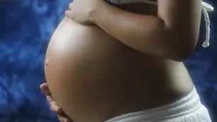 fertilización asistida y embarazo