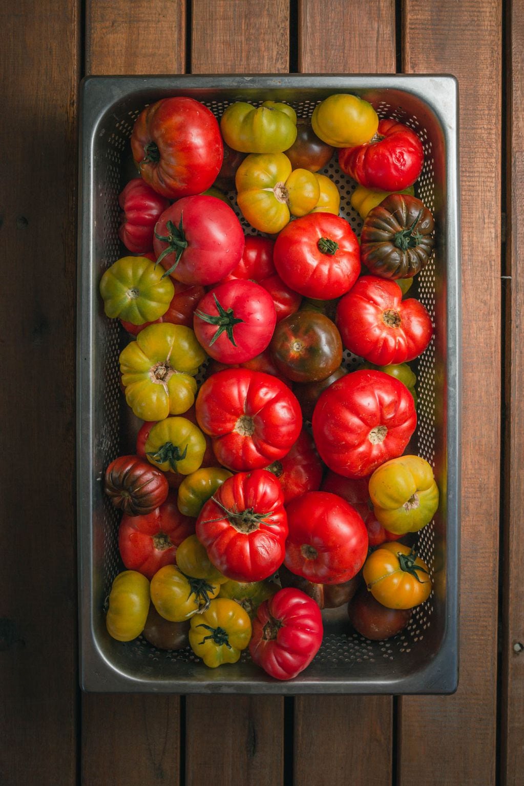 Distintas variedades de tomate. Foto: Gentileza Casa Vigil