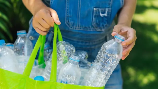 Plastic collection, environmental protection. Woman's hands collect bottles and put in a green