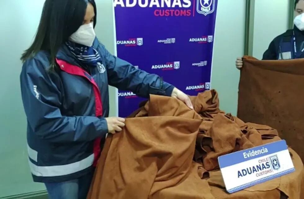 Los aduaneros secuestraron 50 piezas de carpincho. /Gentileza Andes Online.