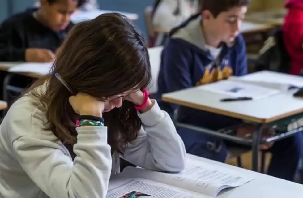 Casi el 30% de los estudiantes argentinos asisten a colegios privados.