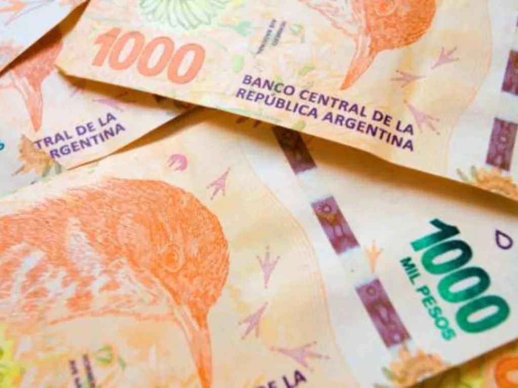 AUH de Anses con 100% de aumento: cuánto cobro en enero y quiénes tienen bono de $62.000 (Imagen ilustrativa / Web)