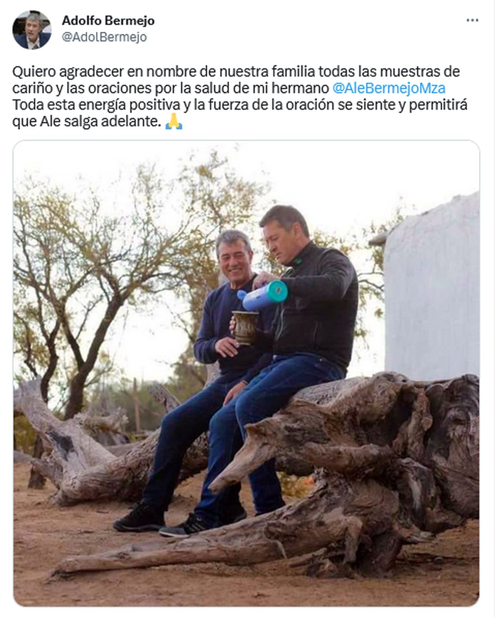 Adolfo Bermejo publicó en Twitter un hilo para informar el estado de salud de su hermano. Twitter.