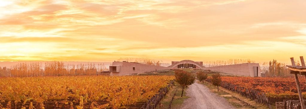 La provincia se consagró en los Best of Wine Tourism 2024 de las Great Wine Capitals gracias a la actividad de Bodega Alpamanta.