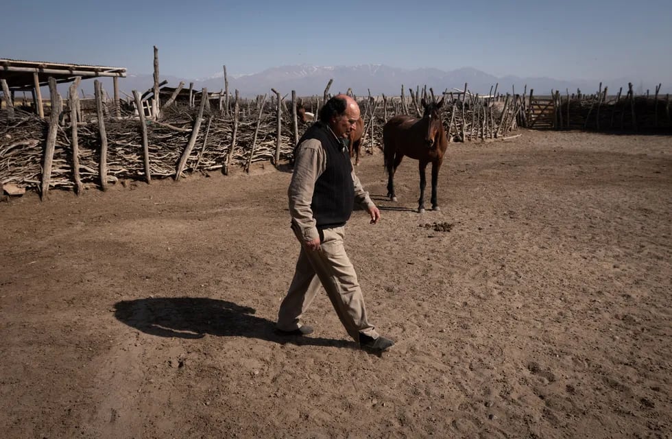 Ricardo Enrique Luffi vive hace casi 60 años en el puesto la Lagunita, en San Carlos, y  con su esposa se dedican a la cría de ganado - Foto: Ignacio Blanco / Los Andes