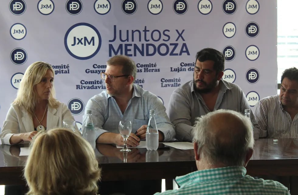 Juntos X Mendoza, el sector "frentista" del PD que lidera el diputado Guillermo Mosso.