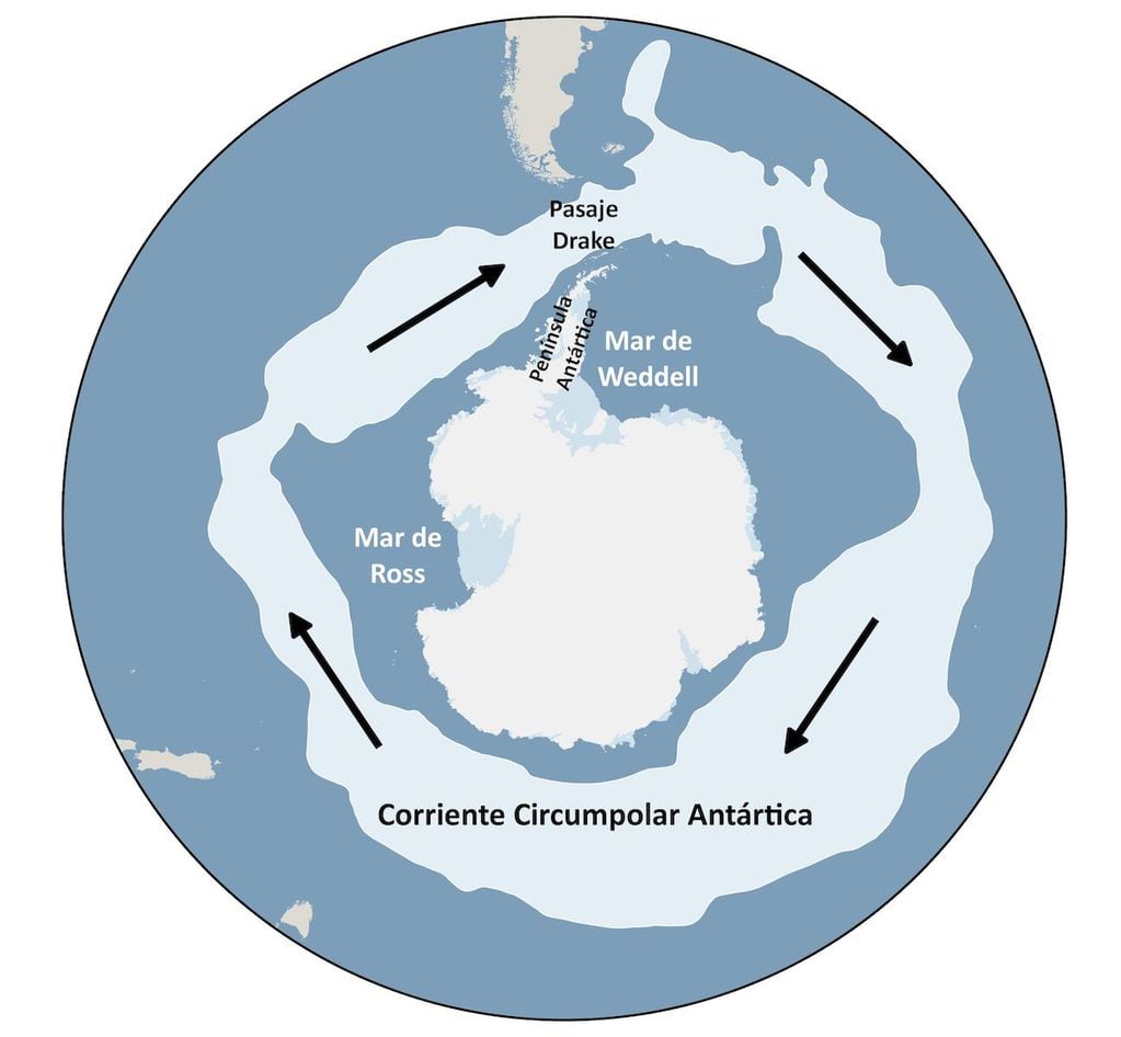 Esquema que muestra la distribución de la Corriente Circumpolar Antártica (cuyo contorno está marcado en celeste) alrededor del Continente Antártico. Las flechas indican la orientación de oeste a este de la corriente. Gráfico: Eduardo Ruiz Barlett.