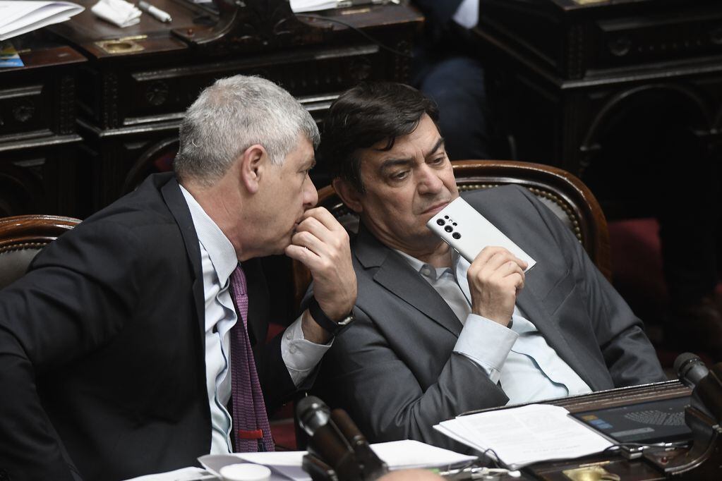 Omar De Marchi
Consenso fiscal
diputados
Foto Federico Lopez Claro