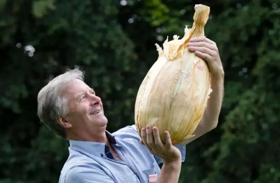 Cebolla récord: un agricultor cosechó una de casi 9 kilos y marcó un nuevo registro Guinness. Foto: Sky.