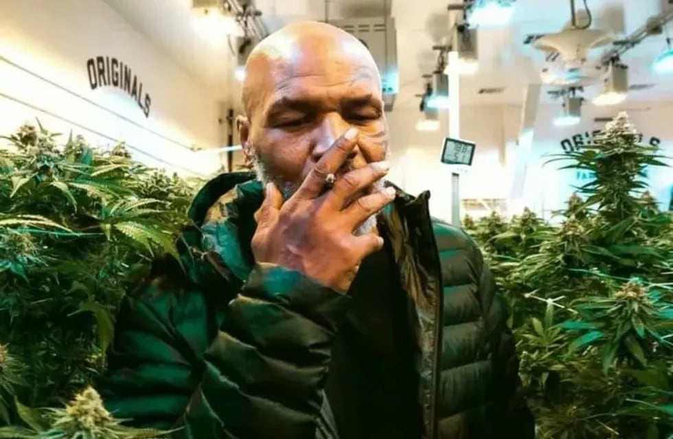 Entre plantas de marihuana y miles de dolares: el exboxeador Mike Tyson