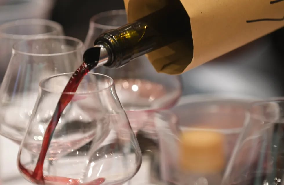 Los vinos de la UTN, premiados a nivel nacional, ya tienen su cosecha 2022