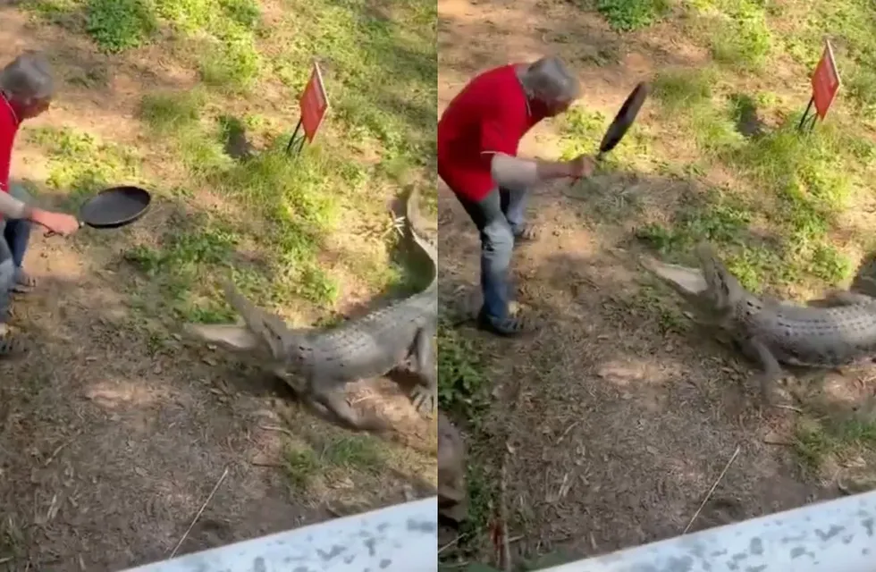 Se enfrentó a un cocodrilo armado con un sartén. Foto: Web