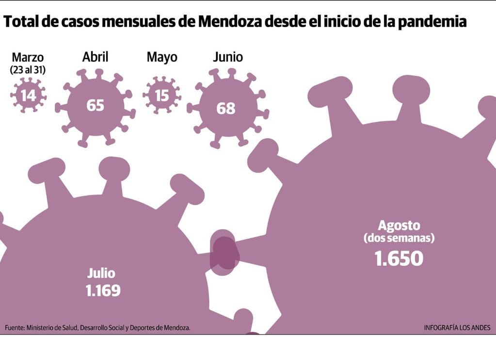 Total de casos mensuales de Mendoza desde el inicio de la pandemia. Gustavo Guevara
