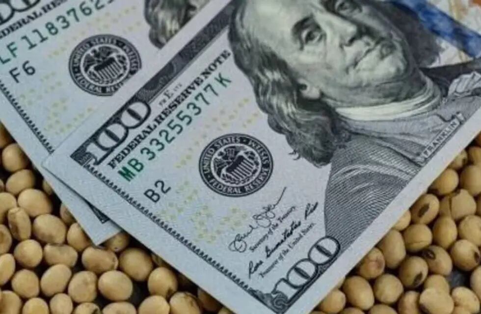 Este lunes se inicia la nueva etapa del "dólar soja" en el país.