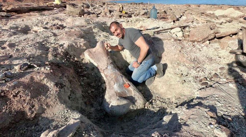 Los restos del Futalognkosaurus fueron hallados en el lago Los Barreales en Neuquén. (Proyecto dino)