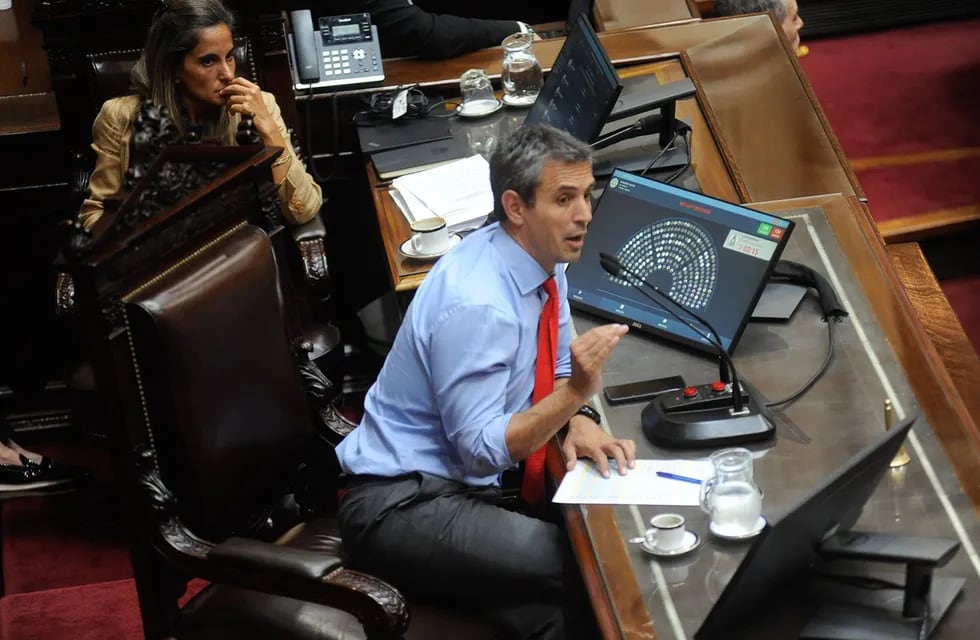 La nueva Ley de Bases llegó al Congreso y comienza la negocación en la Cámara de Diputados. Foto: Federico Lopez Claro