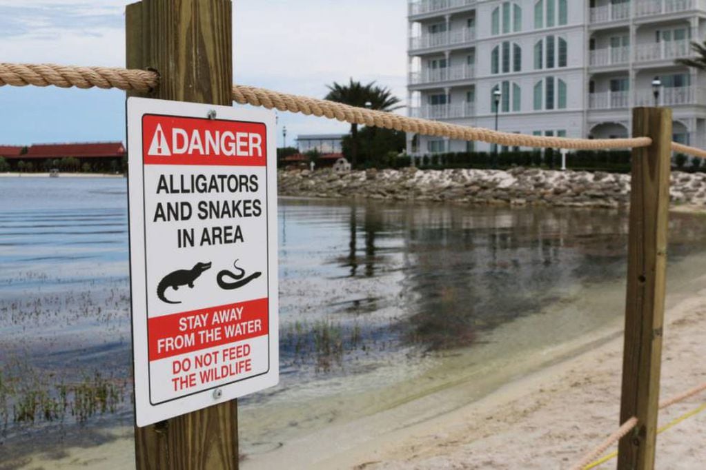 Tras el trágico incidente con el niño, las autoridades de Disney cercaron la zona y pusieron carteles de advertencia.