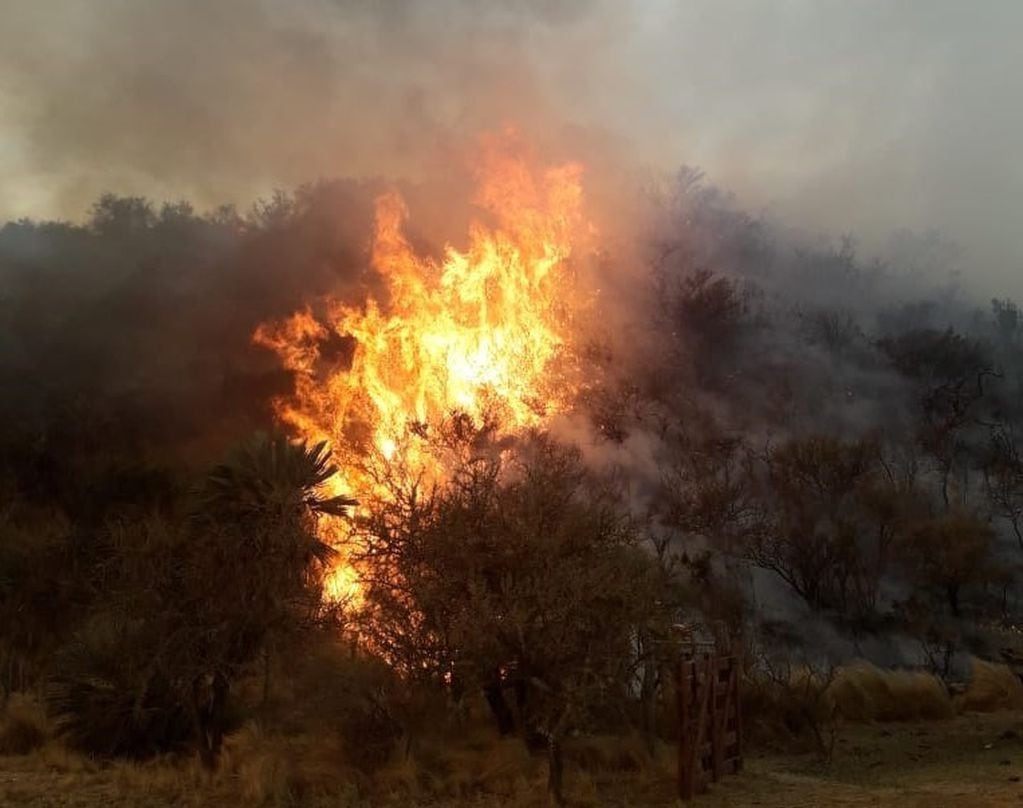 Un incendio de grandes proporciones en una zona de mucha vegetación en las laderas de las Sierras del Comechingones a altura de la localidad de Villa Larca.