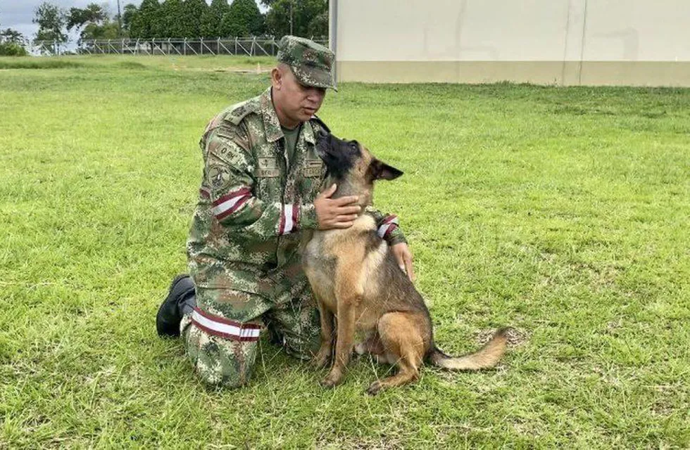 El Ejército colombiano mantiene activa la búsqueda de Wilson, el perro rescatista perdido en la selva. (Ejército de Colombia)