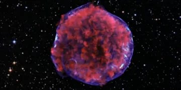 La Supernova SN 1006