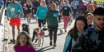 Maratón Animal Ciudad de Mendoza 2022