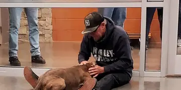 Un abuelo lloró de la alegría al reencontrarse con su mascota tras haberla perdido hacía 200 días